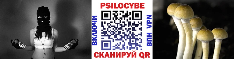 Псилоцибиновые грибы мухоморы  Избербаш 