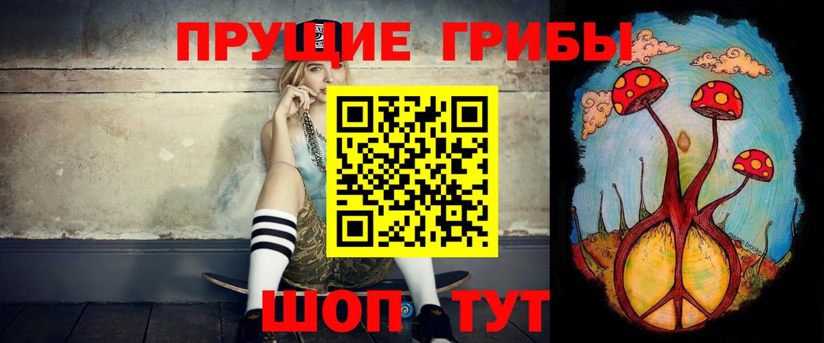 Псилоцибиновые грибы Psilocybe Избербаш